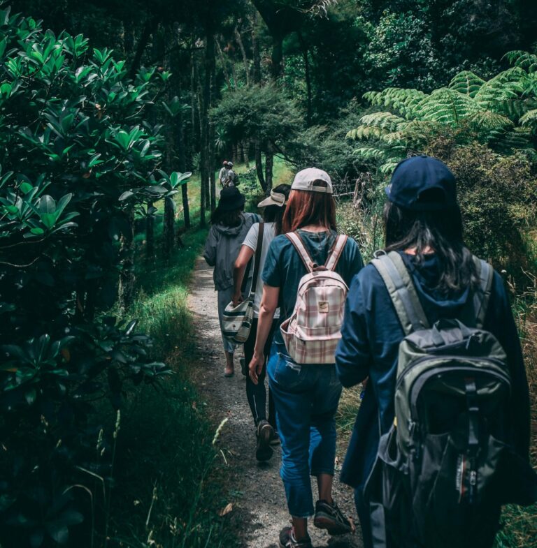 Women hiking along a scenic forest trail, enjoying nature and exploration.